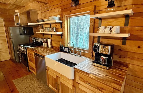 Dresden Cabin | Rustic Riverfront Cabin with Fire pit and Wood Stove