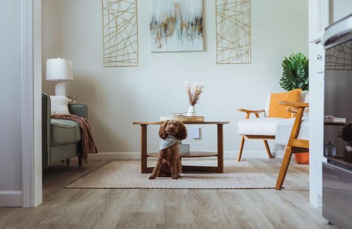 Johnson City Apartment | Sage Haven #5