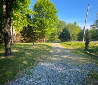Jonesborough House | Spooville guest suite Jonesborough
