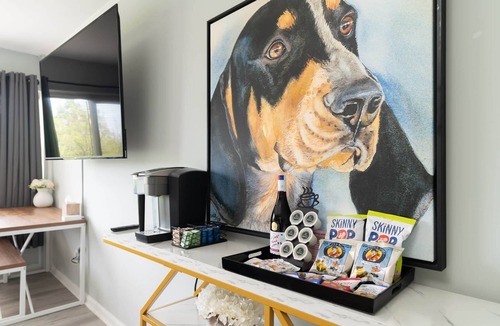Fort Sanders Apartment | Studio South (On UT Campus & Free Parking)