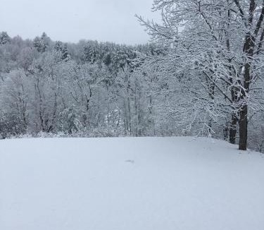 Lansing House | Sullivan Farm at Helton Creek - Fire Pit - Foosball - Fireplace
