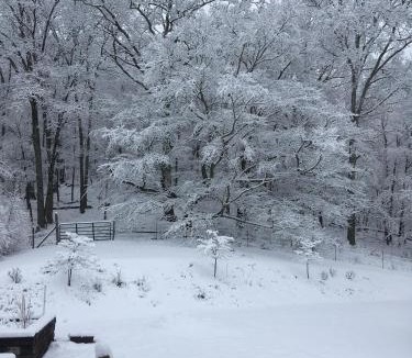 Lansing House | Sullivan Farm at Helton Creek - Fire Pit - Foosball - Fireplace