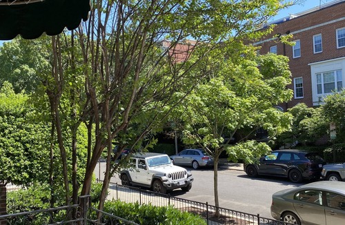 Adams Morgan Apartment | Sunny Furnished 1 Bedroom Apt in Adams Morgan