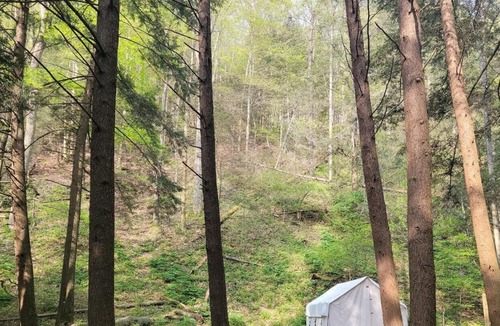 Swanton RV Rental | Tentrr State Park Site - Big Run State Park - Site F