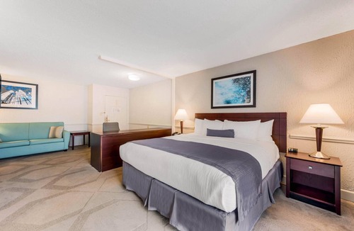 Blue Ash Hotel | The Blu Hotel Blue Ash Cincinnati, an Ascend Collection Hotel