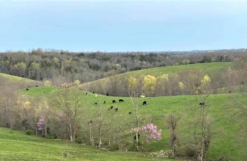 Jonesville House | The Lodge @ Riley Farms, Comfort & Rest close to The Ark