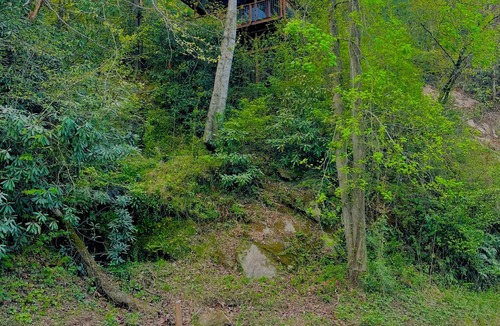 Mortimer Cabin | The Roost - A Pet Friendly, Creekside Mountain Cabin in the Heart of Adventure!