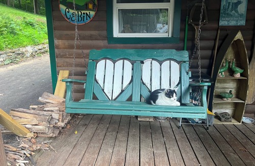 Braddock Heights Cabin | The Shady Bear Cabin in nearby charming Frederick