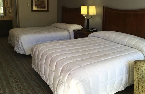 Forest Hills Hotel | The University Inn