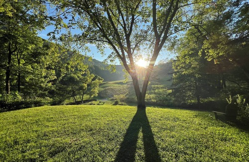 Irvine Cabin | Whimsical Wildwood Studio – Breakfast Included – Award-Winning Appalachian B&B