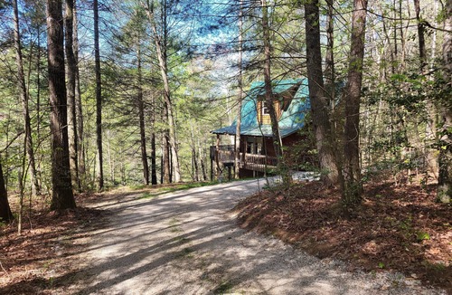 Rogers Cabin | Wonderful secluded cabin with wi-fi, hot tub and large fire pit on a cliff side