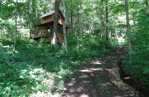 Barnardsville Cabin | Woodland Chalet/Peaceful Forest Retreat