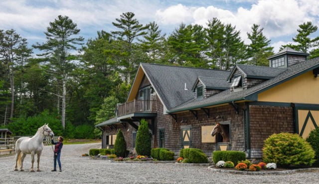 3BR Cabin w/Patio + Equestrian Center Grand View