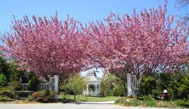 5 bedrooms ocean view estate overlooking cape cod bay