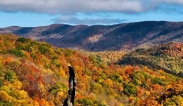 58 Acre home in the middle of 23,00 acre State Park