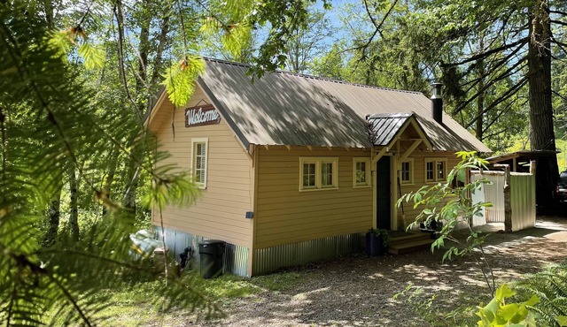A Cabin in the Woods
