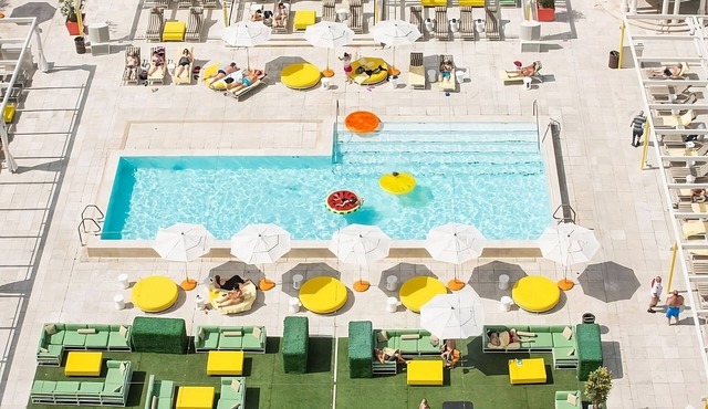 Adventure Awaits! 4 Convenient Units! Rooftop Pool, Pets Allowed, Parking!