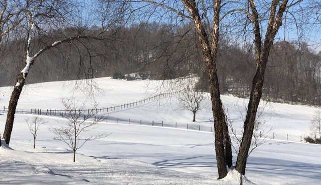 Artist Retreat with beautiful views to photograph or paint or just to relax.