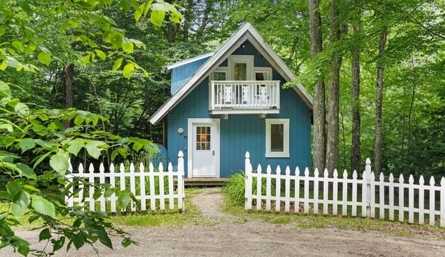 Blue - 2 Mins to Smugglers ski Mtns - Dog Friendly