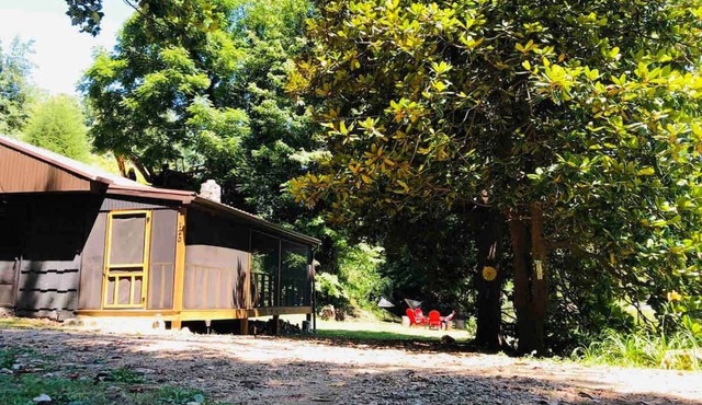 CABIN AT THE COVE at Watauga Lake!