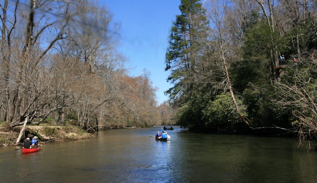 Cabin with two trout rivers onsite. Brevard and Pisgah National Forest close by.