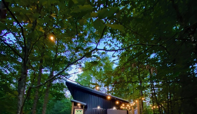 Canopy Alchemy | 2 Private RRG Cabins | 2 Hot Tubs | Epic Views