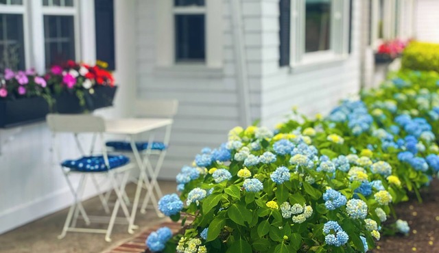 Cape Cod Motor Inn