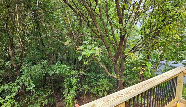 Charming 2-BR Cottage 12 minutes from Biltmore House/Asheville or Black Mtn.n