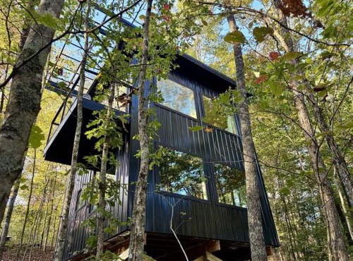 Come stay in a magical cabin with a bedroom in the trees