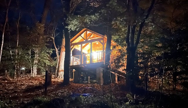 Cozy Cabin in the Woods