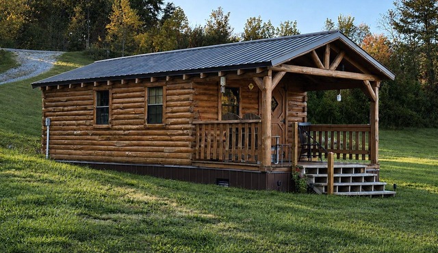 Cozy Cabin Retreat on 12 Acres, Gazebo, Fire Pit & Starlink WiFi