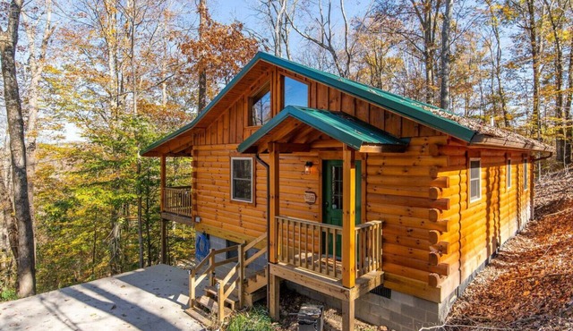 Cozy Canopy- Hot Tub, Firepit, Covered Deck, WiFi