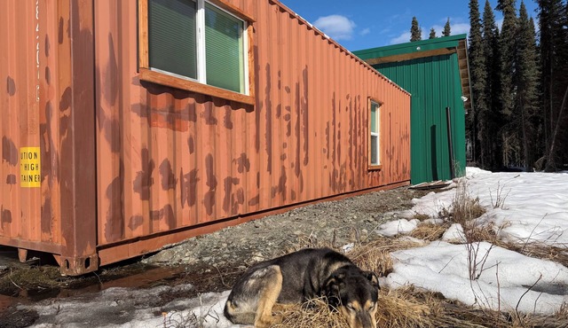 Cozy Container: A Shipping Container Retreat for Pups & People.