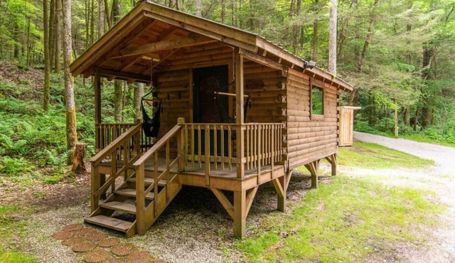 Cozy Creek- Firepit, Hiking, Creekside, Private