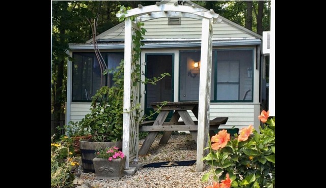 Cozy, perfect location, dog friendly Updated calendar with more availability!
