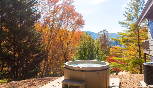Cute and Cozy Cottage with hot tub