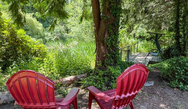 Dragonfly Haven
