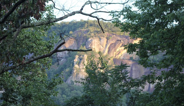 Evening Shade River Lodge and Cabins