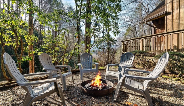 Free Dollywood Tix/Views/Dog Friendly/PoolTable