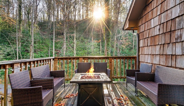 Free Dollywood Tix/Spacious/Dog Friendly/Firepit