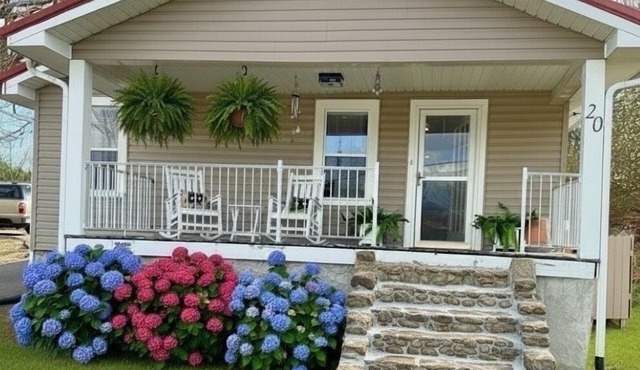 Guests Rave: Super Clean -Pet Lover’s Dream