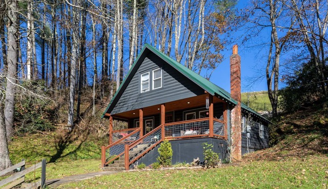 Hidden Cabin on Old Field Creek Quaint cottage near Boone with creek frontage