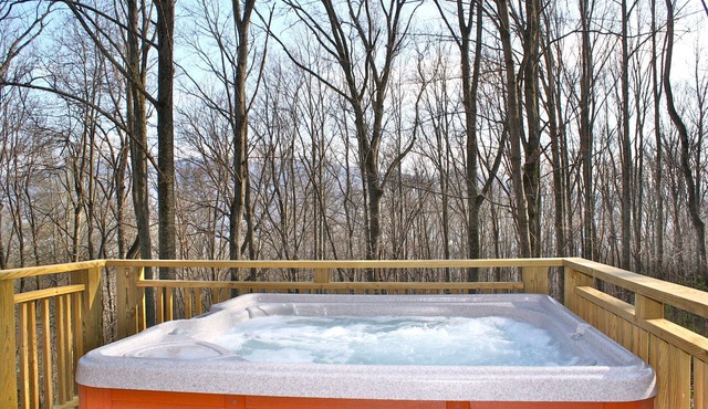 Hip Little Cabin on the Hill with Hot Tub & Wi-Fi/Fantastic Location