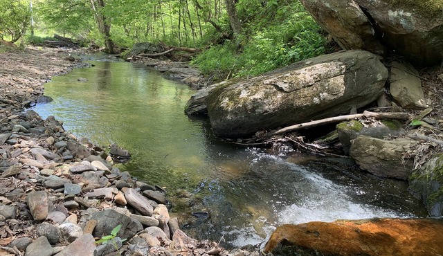 Late checkout! modern cottage with creek on 4 acres, fire pit