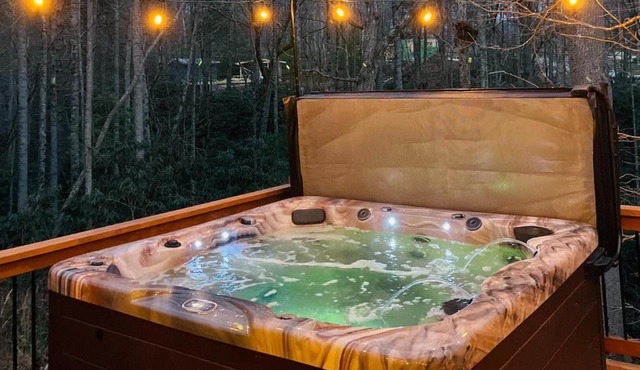 Lazy Bear-HotTub, Pet Friendly, Private home just 15 minutes to Asheville.