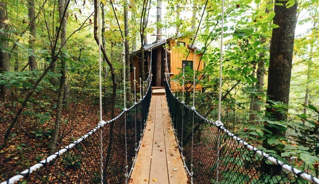Magical Treehouse Stay with Creekside Sauna Experience in Zirconia, North Carolina