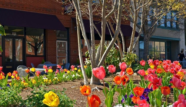 Main Street Studio with free parking