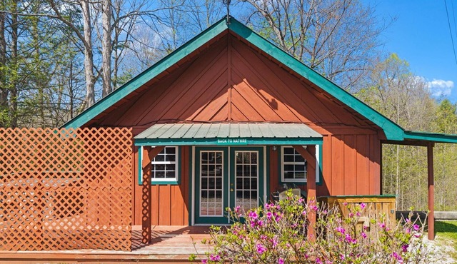 Newly renovated, secluded cabin, Unique Stone Work in Front Yard