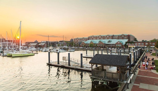 Newport Marriott Hotel & Spa