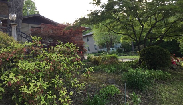 Paw Paw Tree Estate Home with Three Bedroom Guest House. Sleeps 19
